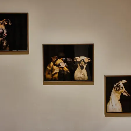 Hotel Reu De Estambul